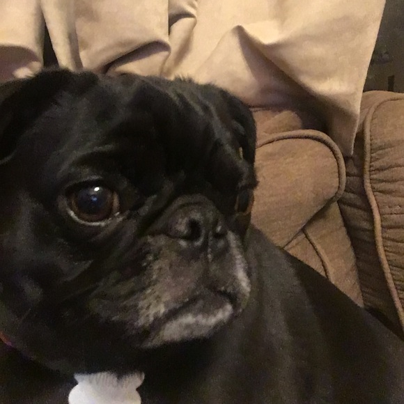 Meet your Posher, Carie - Picture 1 of 1